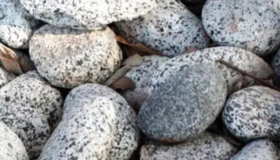 Colorado River Rock - Salt and Pepper